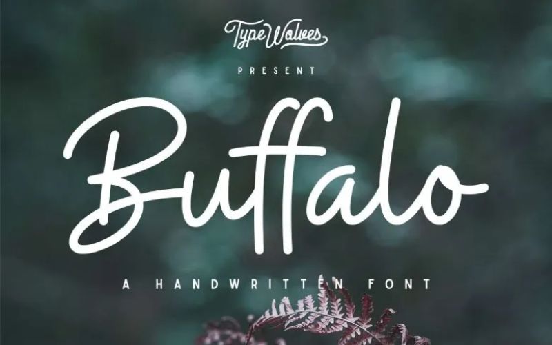 Buffalo Handwritten