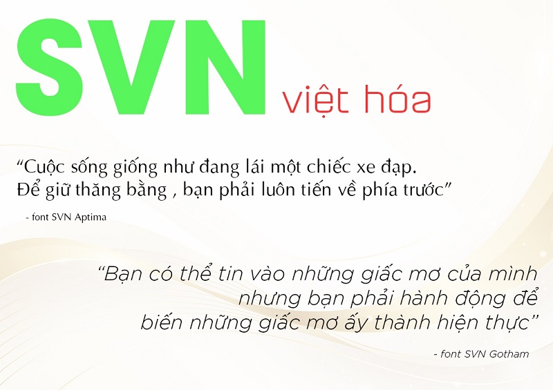 Đặc điểm của bộ font chữ SVN Việt hóa